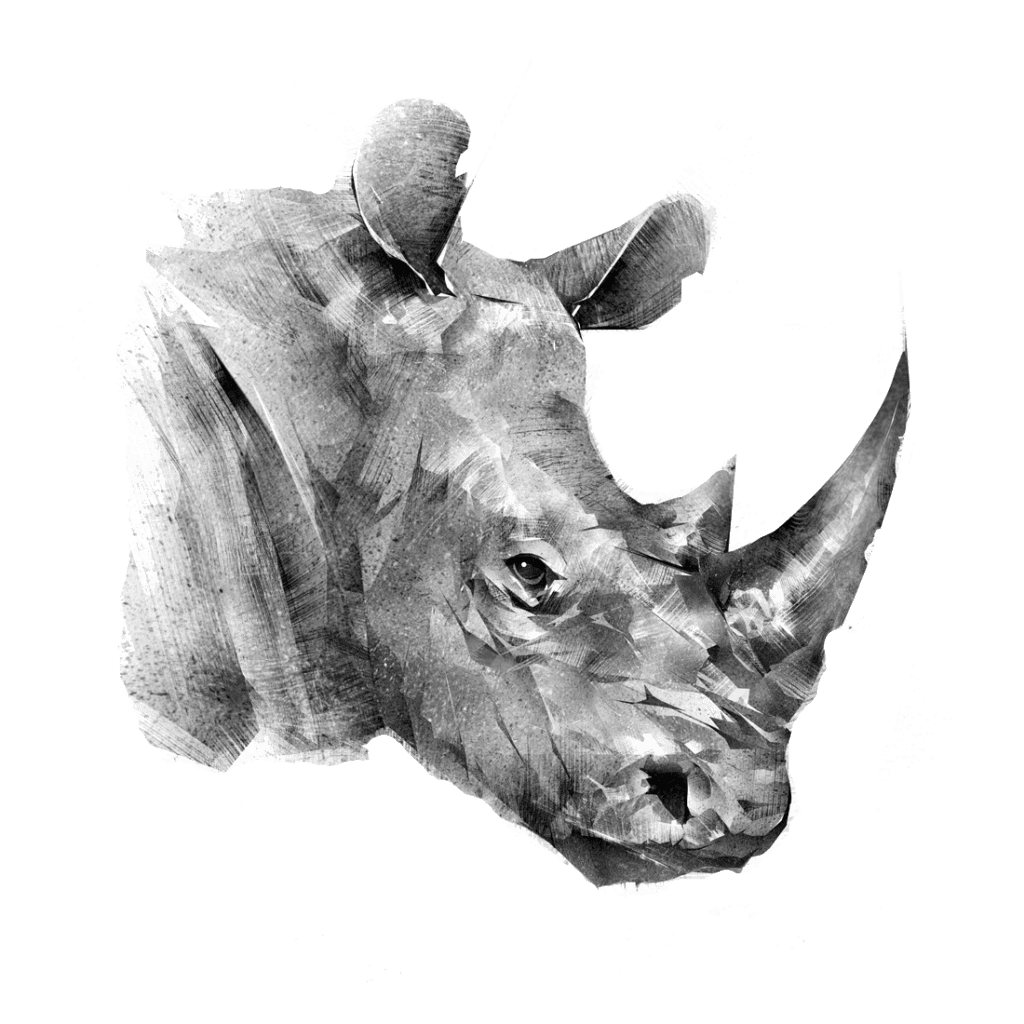 rhino line art