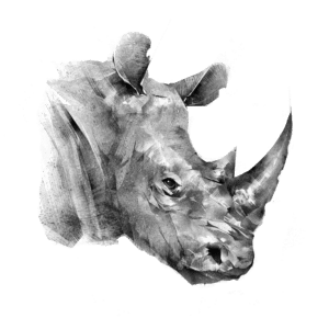 rhino line art
