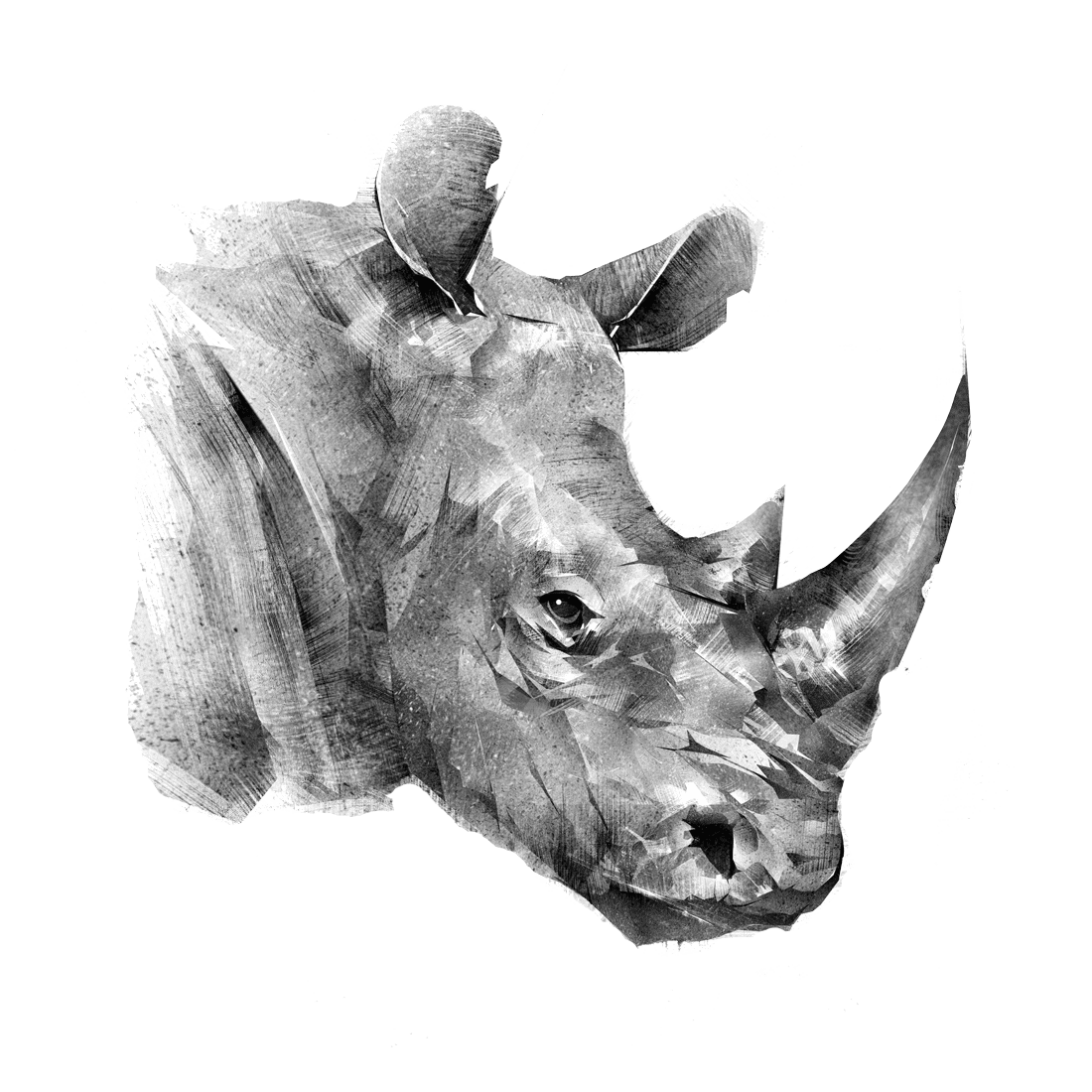 Rhino Innovations Group